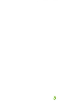 BTC 535 Elarion - Meet Our Skilled Team